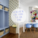 Fb Colour Of The Year 2022