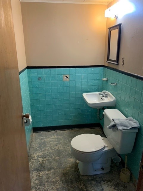 Vintage Basement Bathroom