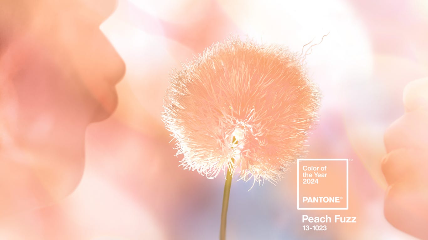 Pantone Coy2024 Wallpaper Download Peachfuzzhero 1366x768 1