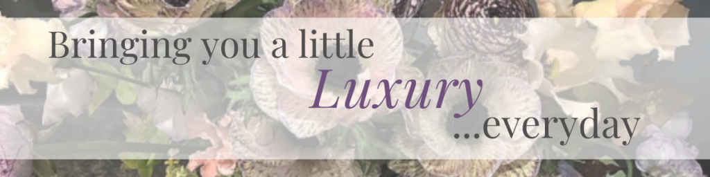Luxury Everyday 2 Blog End (4 X 1 In)